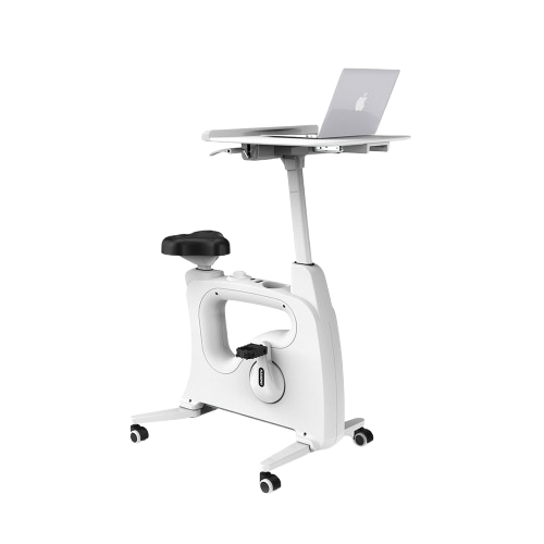 image removebg preview (73)