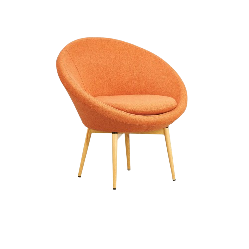 image removebg preview (80)